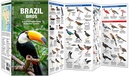 Vogelgids Brazil Birds - Brazilië | Waterford Press