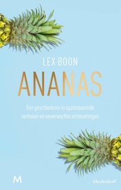 Reisverhaal Ananas | Lex Boon