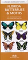 Natuurgids Florida Butterflies & Moths | Waterford Press
