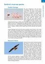 Vogelgids Where to Watch Birds in Sardinia | Pelagic Publishing