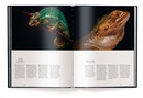 Fotoboek Fragile | teNeues