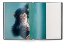 Fotoboek Fragile | teNeues