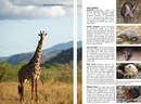 Reisgids Northern Tanzania Safari guide - Noord Tanzania | Bradt Travel Guides