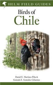 Vogelgids Birds of Chile - Chili | Bloomsbury