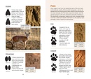 Natuurgids On Track | Struik Nature