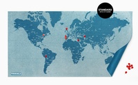 Pin world wall map - blauw small