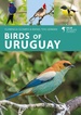 Vogelgids Birds of Uruguay | Bloomsbury