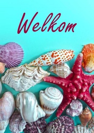  Gastenboek Bed en Breakfast / Vakantiehuis / Hotel / Vakantiewoning (A5, paperback) | Brave New Books