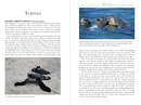 Reisgids - Natuurgids Galápagos Wildlife - Galapagos eilanden | Bradt Travel Guides