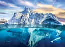 Legpuzzel Arctic - Noordpool - IJsberg | Eurographics