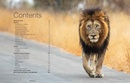 Reisgids Kruger National Park Self-Drive: Routes, Roads & Ratings | HPH Publishing