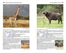 Natuurgids Mammals of Ethiopia, Eritrea, Djibouti and Somalia | Meru Publishing