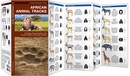 Natuurgids African Animal Tracks | Waterford Press