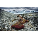 Fotoboek Arctica | teNeues