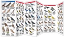 Vogelgids Utah | Waterford Press