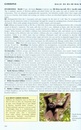 Natuurgids - Reisgids Phillipps' Guide to the Mammals of Borneo and Their Ecology | John Beaufoy