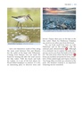 Natuurgids A Wildlife Guide to Georgia | Pelagic Publishing