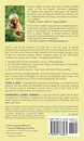 Natuurgids Pocket Guide to the Mammals of Costa Rica | Comstock Publishing Associates