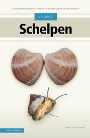 Natuurgids Veldgids Schelpen | KNNV Uitgeverij