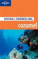 Duikgids Cozumel: Diving & Snorkeling Guide | Lonely Planet