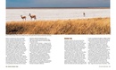 Reisgids A Visitor’s Guide to Etosha National Park | Struik Nature