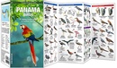 Vogelgids Panama Birds | Waterford Press