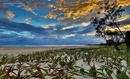 Fotoboek Queensland & the Great Barrier Reef | Koenemann