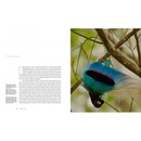 Reisgids - Natuurgids New Guinea | Princeton University Press