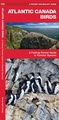 Vogelgids Atlantic Canada Birds | Waterford Press