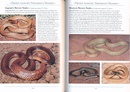 Natuurgids Snakes of Australia | John Beaufoy