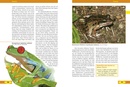 Natuurgids - Reisgids Costa Rica - Natur und Reise | Natur und Tier verlag