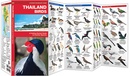 Vogelgids Thailand Birds | Waterford Press