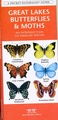 Natuurgids Great Lakes Butterflies & Moths | Waterford Press