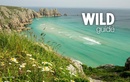 Reisgids Cornwall : Mini adventures, secret places & local food | Wild Things Publishing
