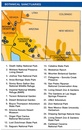 Natuurgids Southwestern Desert Plants USA | Waterford Press