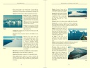 Natuurgids Antarctica: A Guide to the Wildlife | Bradt Travel Guides
