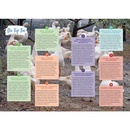 Campergids Albanien mit dem Wohnmobil | Bruckmann Verlag