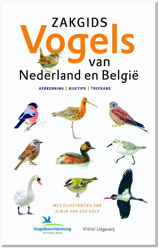 Vogelgids - Natuurgids Zakgids Vogels van Nederland en België | KNNV de zwerver