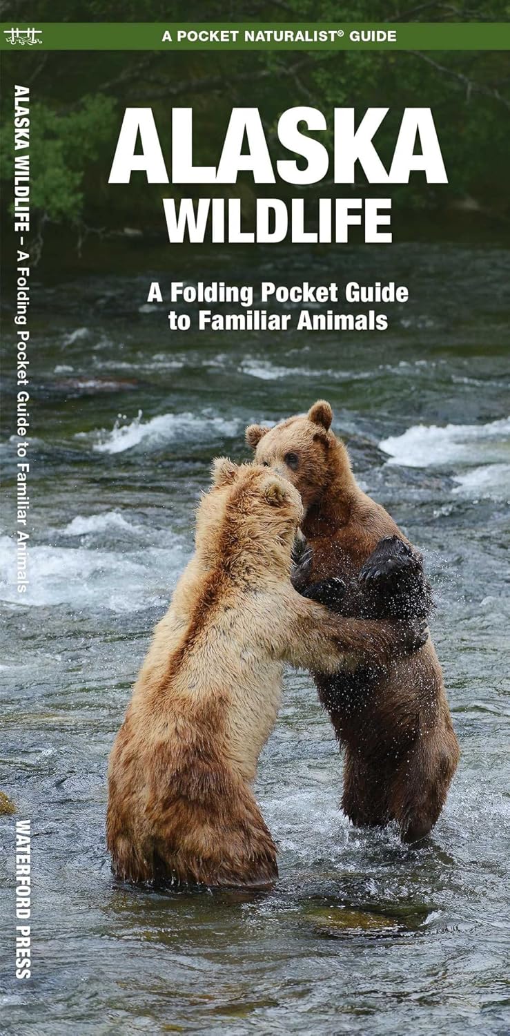 Vogelgids - Natuurgids Alaska Wildlife An introduction to familiar spe