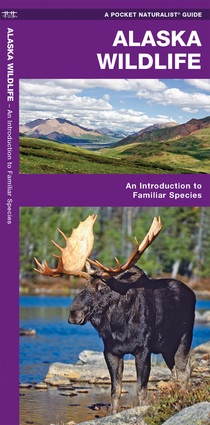 Online bestellen: Vogelgids - Natuurgids Alaska Wildlife An introduction to familiar species | Waterford Press