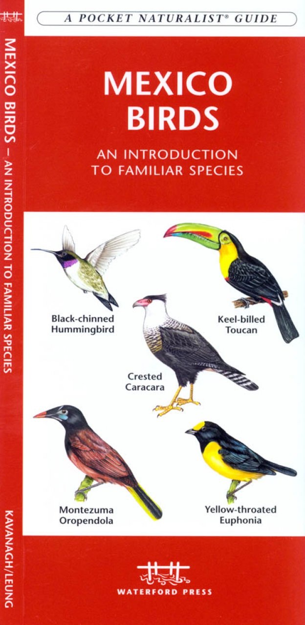 Online bestellen: Vogelgids - Natuurgids Mexico Birds | Waterford Press