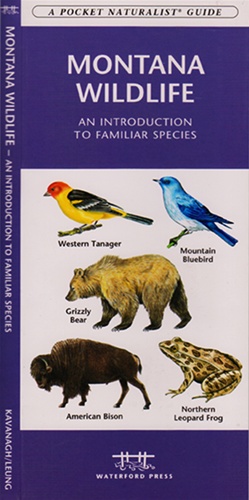 Online bestellen: Vogelgids - Natuurgids Montana Wildlife | Waterford Press