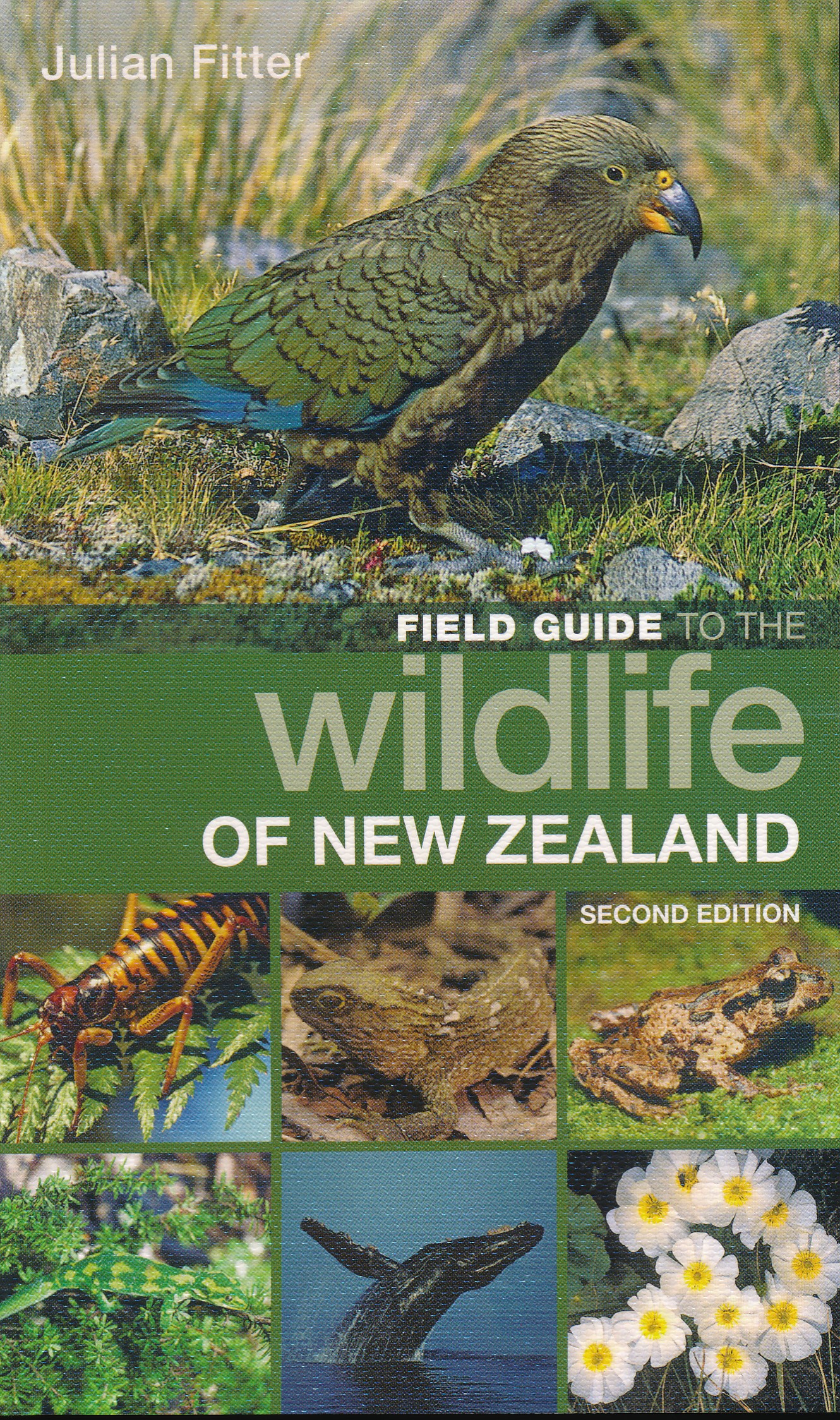 Online bestellen: Natuurgids Field Guide Wildlife Of New Zealand | Bloomsbury