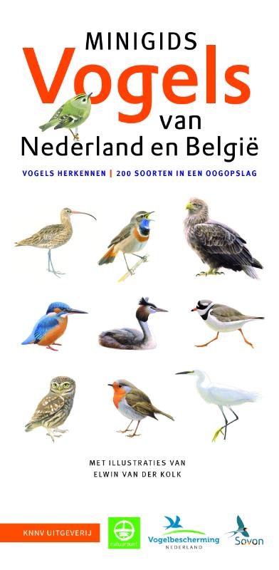 Online bestellen: Natuurgids Minigids Vogels van Nederland en België | KNNV Uitgeverij