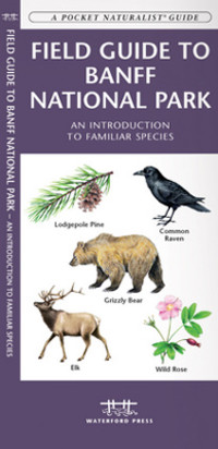 Online bestellen: Vogelgids - Natuurgids Field guide to Banff National Park Wildlife | Waterford Press