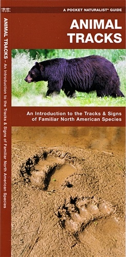 Natuurgids Animal Tracks USA-Canada uitklapkaart | Waterford Press | 