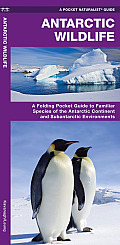 Online bestellen: Vogelgids - Natuurgids Antarctic Wildlife | Waterford Press