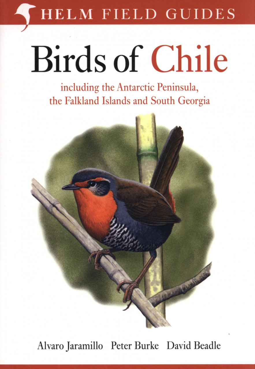 Online bestellen: Vogelgids Chili - Birds of Chile | Bloomsbury