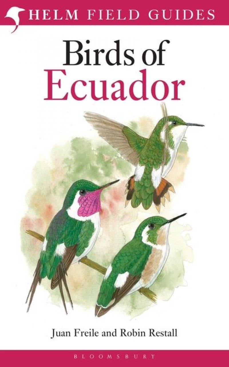 Online bestellen: Vogelgids Birds of Ecuador | Bloomsbury