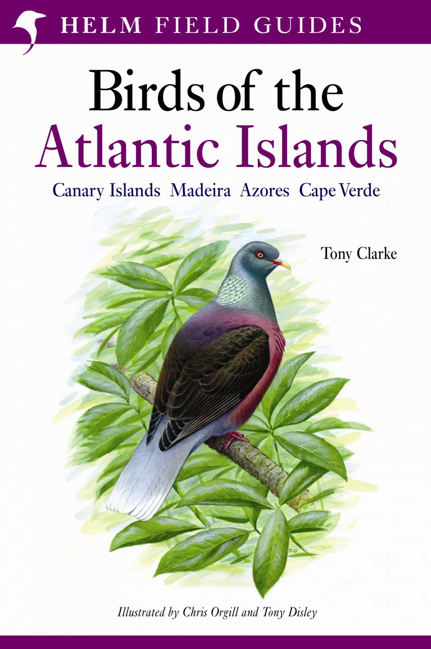 Online bestellen: Vogelgids Birds of the Atlantic Islands: Canary Islands, Madeira, Azores, Cape Verde | Bloomsbury